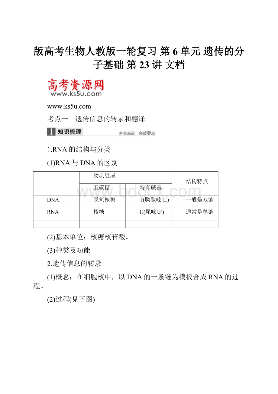 版高考生物人教版一轮复习 第6单元 遗传的分子基础 第23讲 文档.docx_第1页