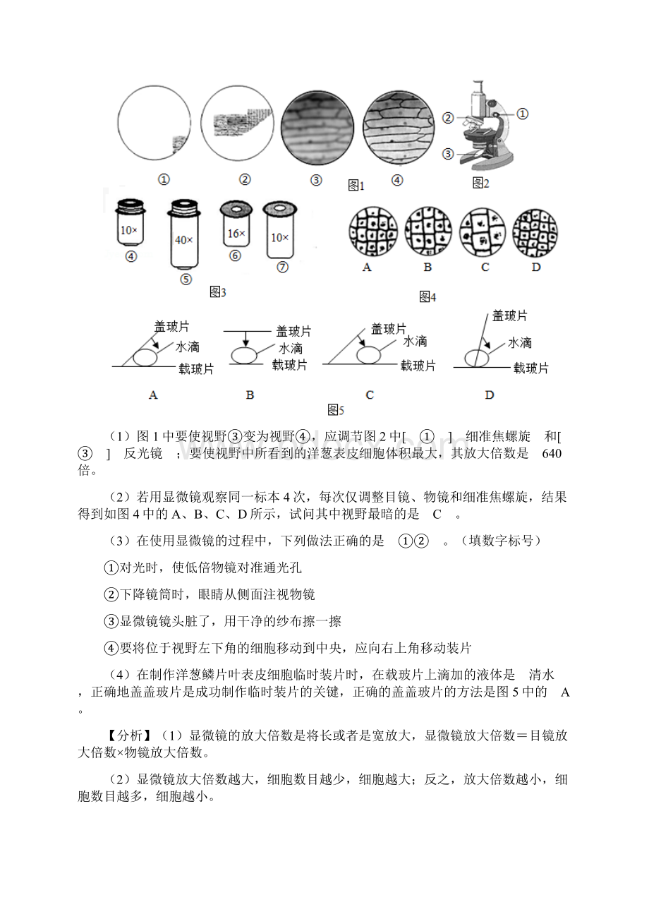 珠海市中考生物实验探究复习题及答案.docx_第3页