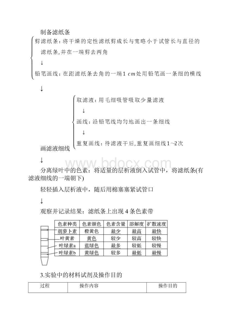 高考生物复习 专题07 绿叶中色素的提取和分离解析版.docx_第2页