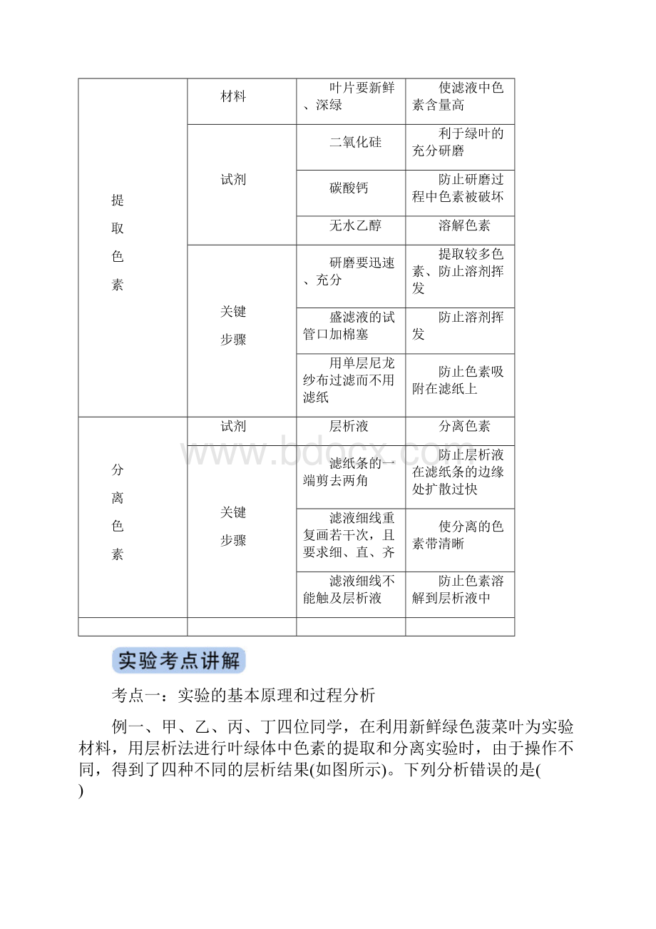 高考生物复习 专题07 绿叶中色素的提取和分离解析版.docx_第3页