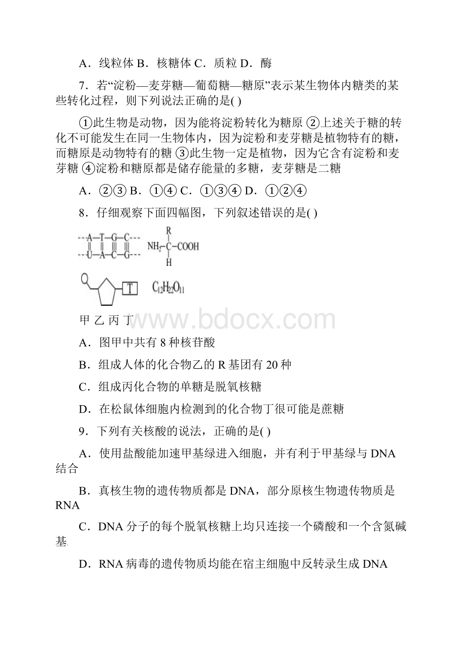 高三生物上学期第一次月考试题.docx_第3页