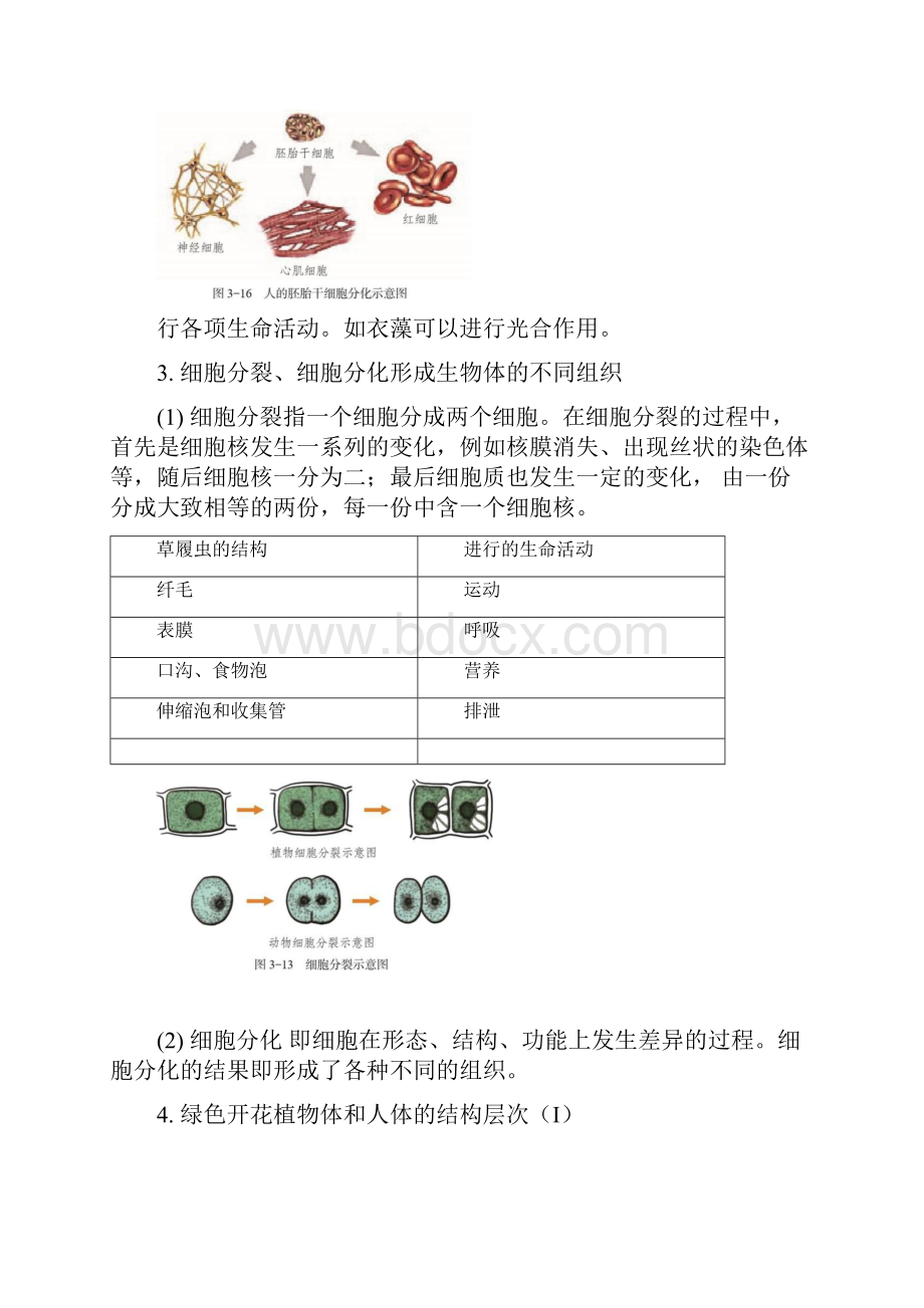 初中生物会考50个考核内容知识点.docx_第2页