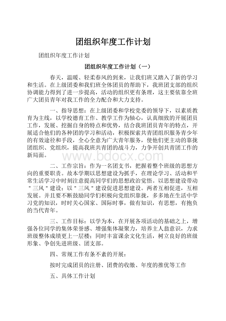 团组织年度工作计划.docx_第1页