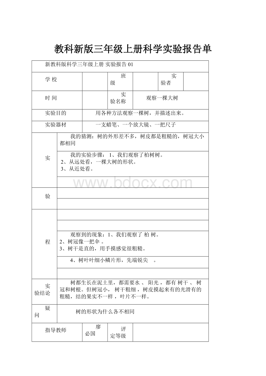 教科新版三年级上册科学实验报告单.docx_第1页