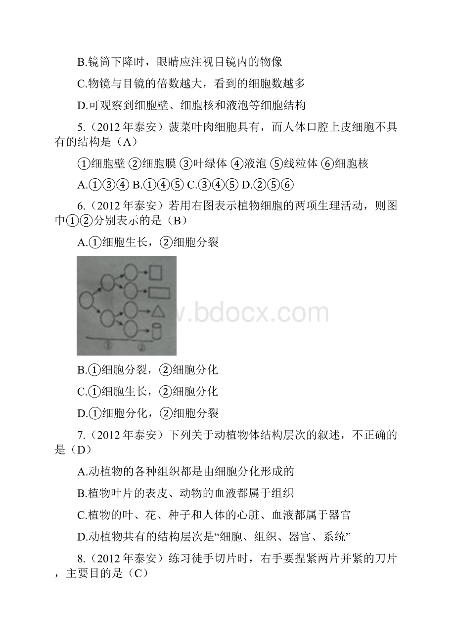 中考生物试题分类汇编 动植物的结构层次.docx_第2页