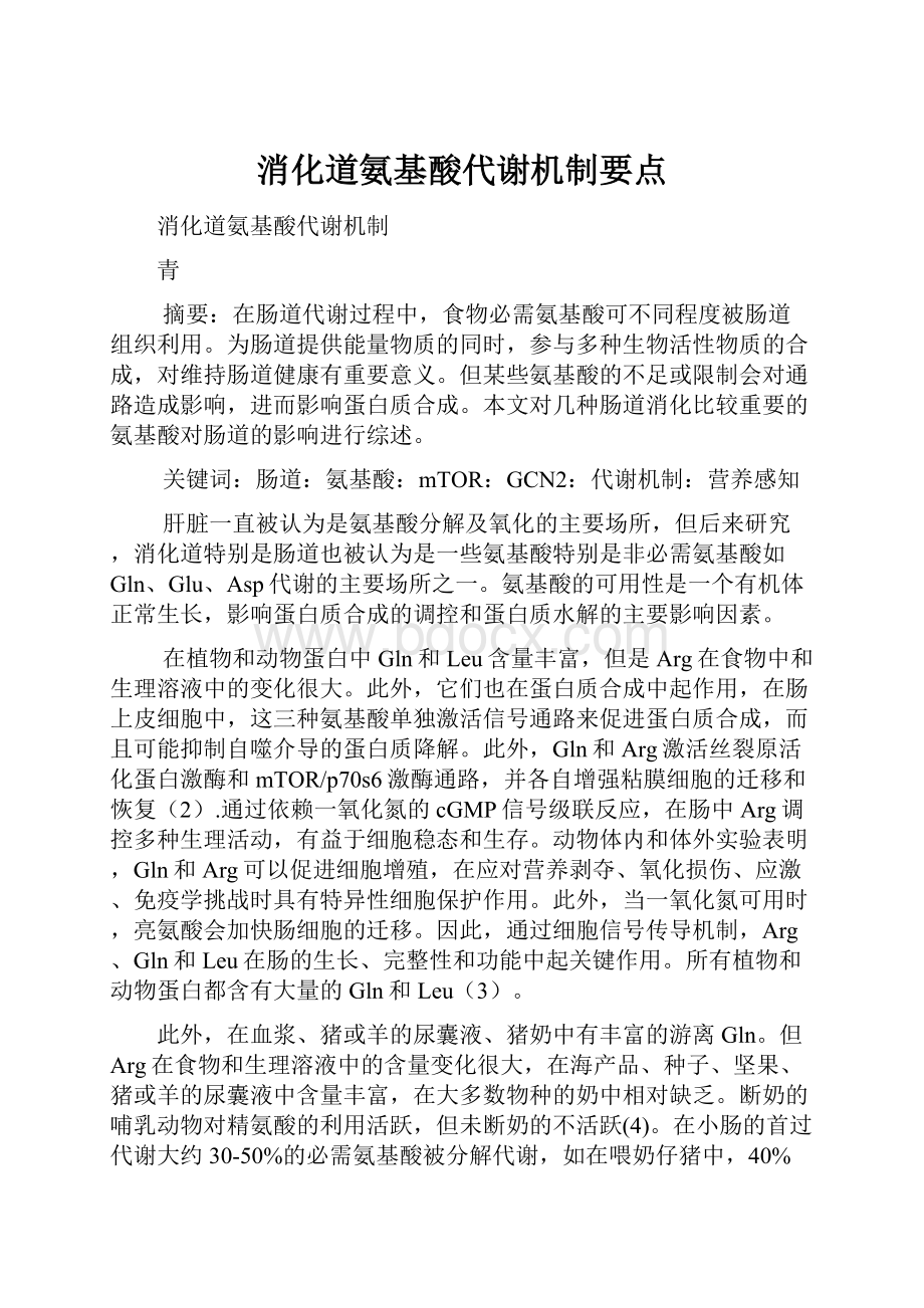 消化道氨基酸代谢机制要点.docx_第1页