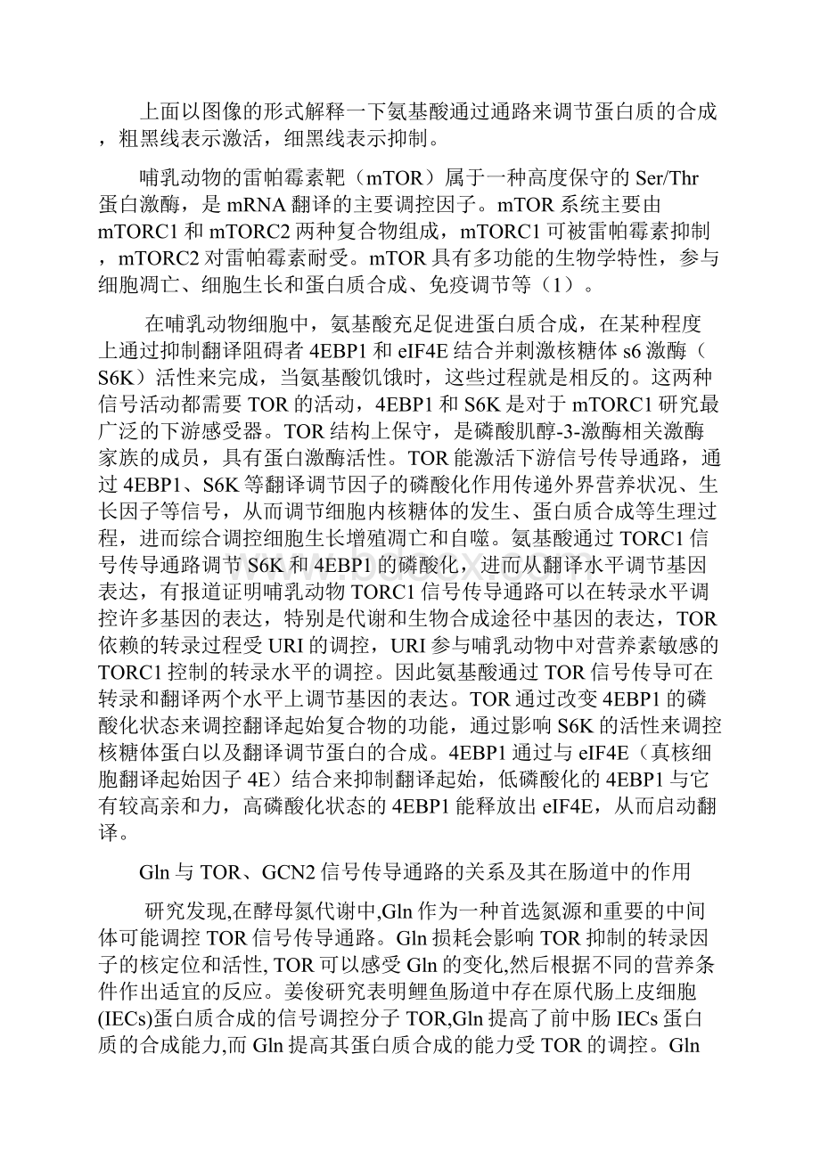 消化道氨基酸代谢机制要点.docx_第3页