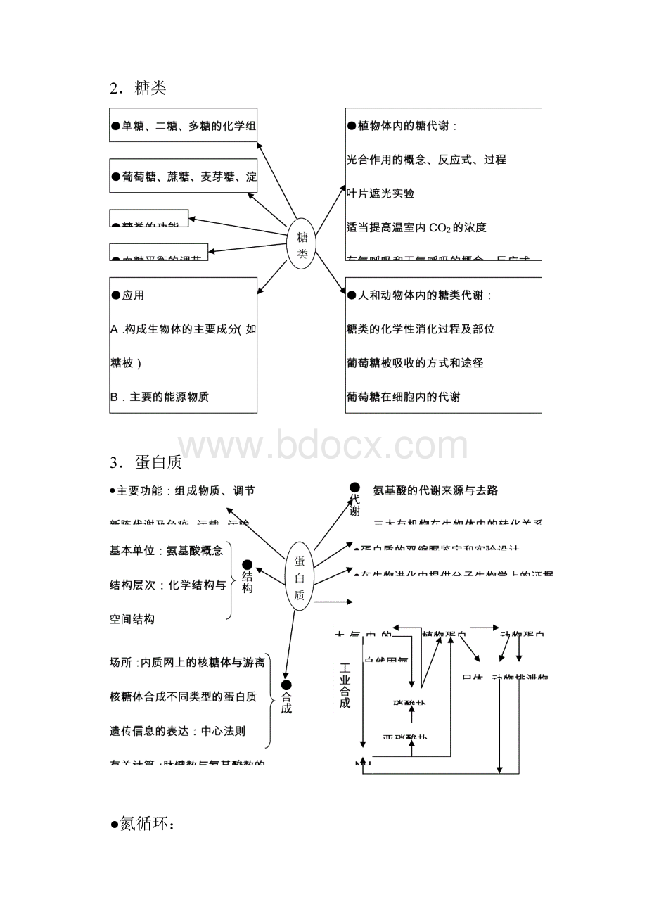 威信二中高中生物知识网络体系.docx_第2页