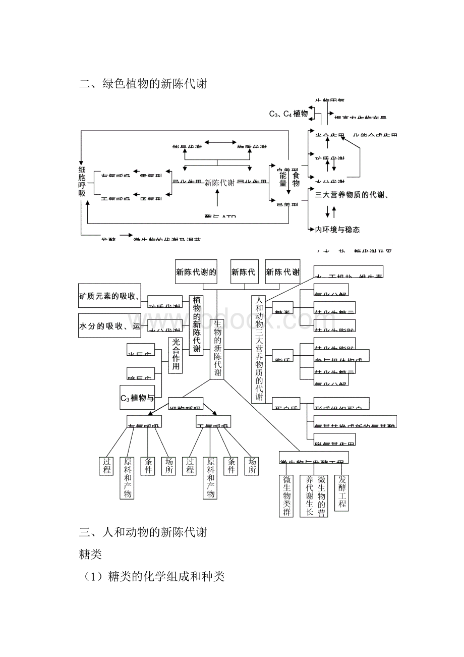 威信二中高中生物知识网络体系.docx_第3页