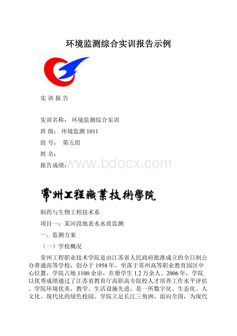 环境监测综合实训报告示例.docx_第1页