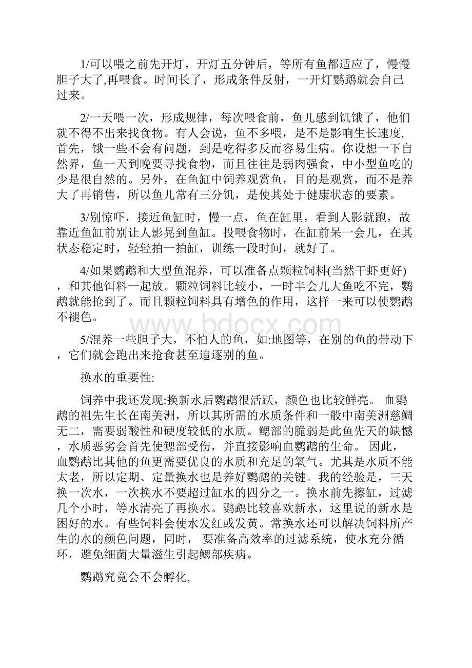 鹦鹉鱼饲养方法.docx_第3页