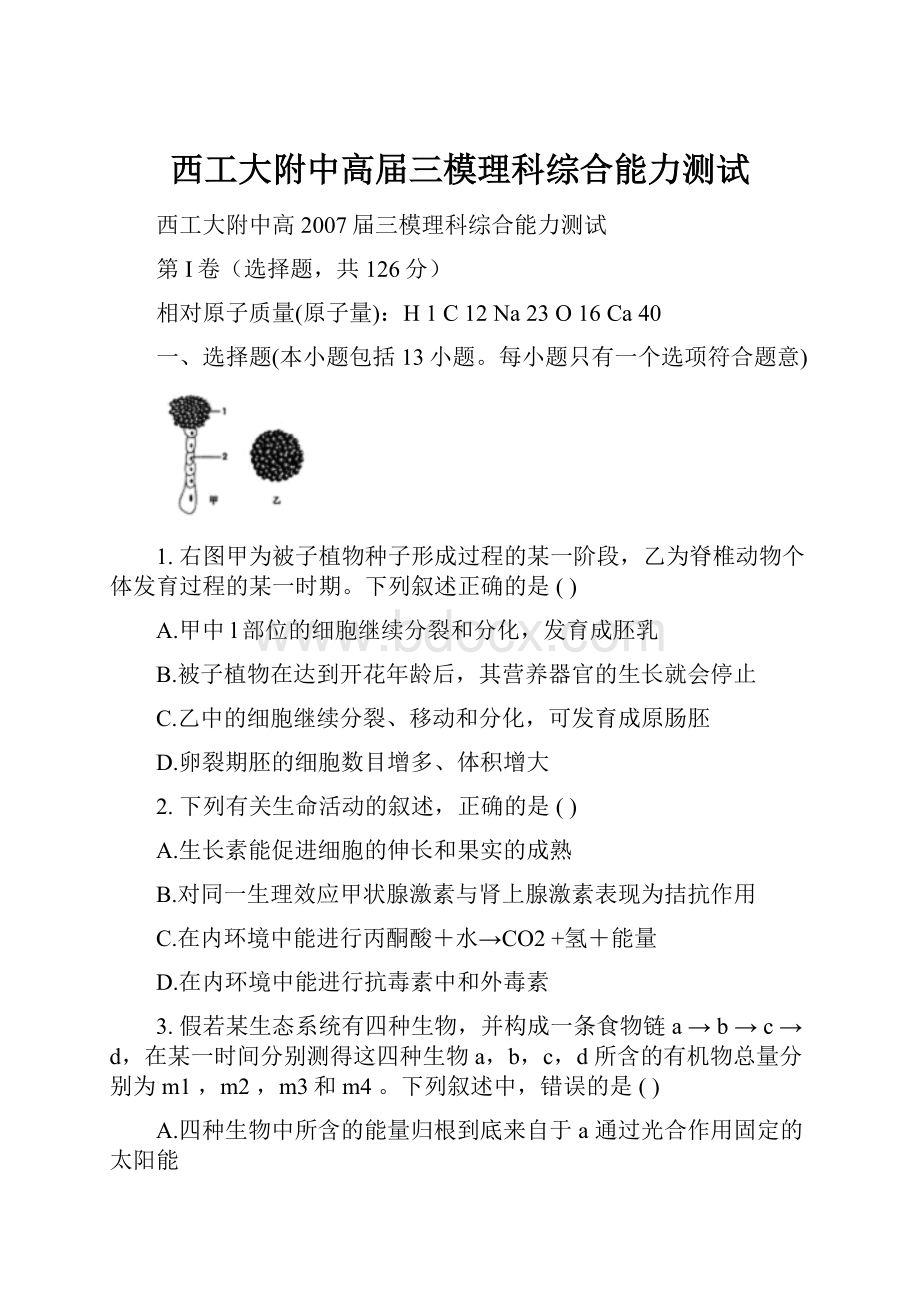 西工大附中高届三模理科综合能力测试.docx