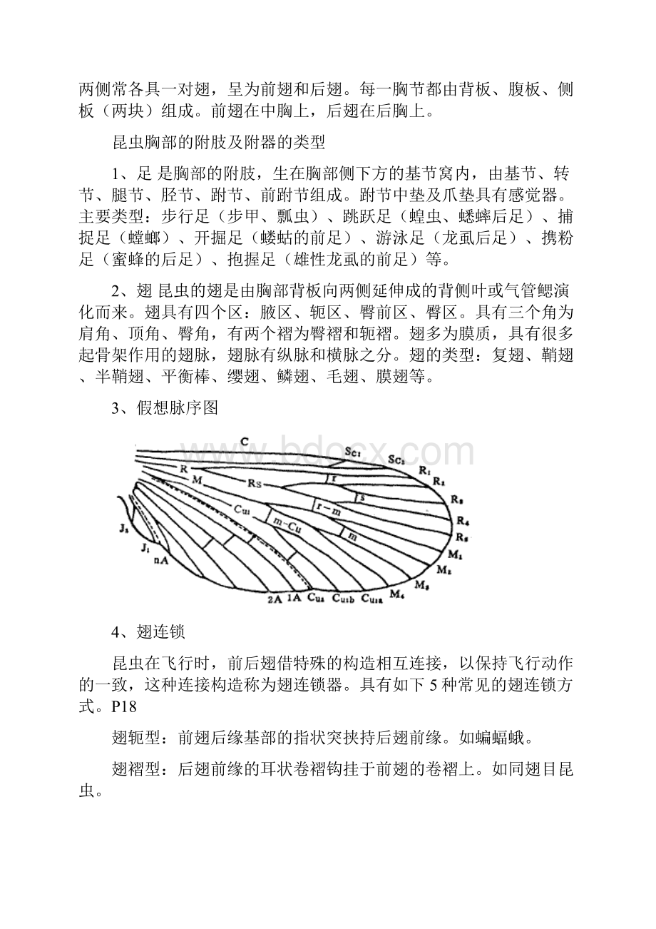 森林昆虫学复习资料参考1.docx_第3页