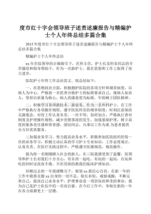 度市红十字会领导班子述责述廉报告与精编护士个人年终总结多篇合集.docx