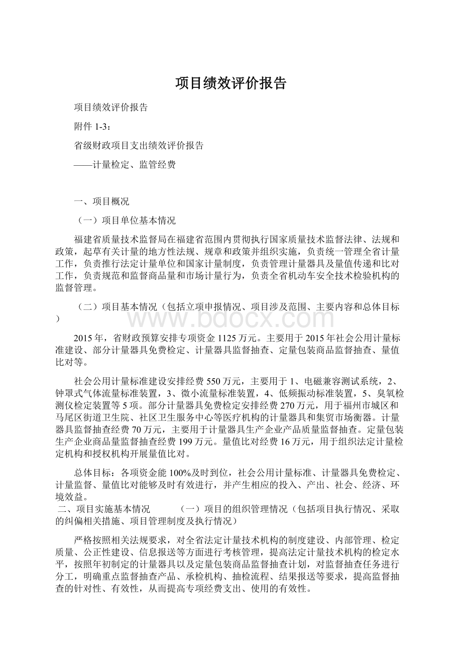 项目绩效评价报告.docx_第1页