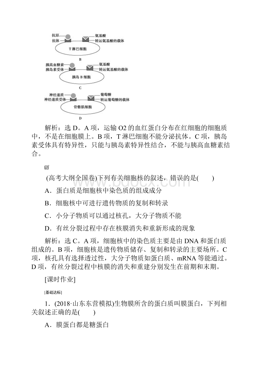 届高中生物一轮复习方案练习第2单元系统的边界 生物膜的流动镶嵌模型 细胞核系统的控制中心.docx_第3页