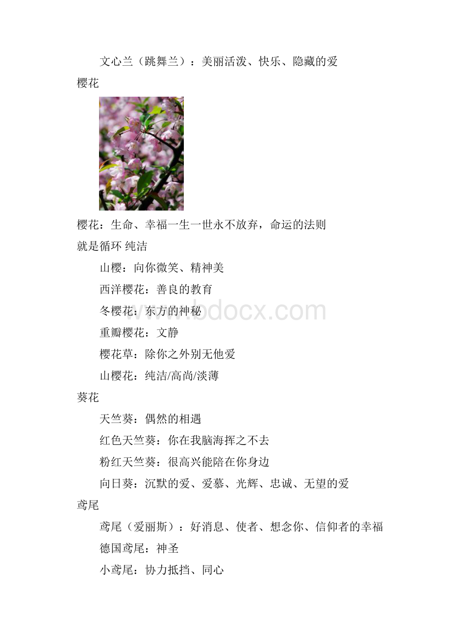 详细花语汇集送花参考大全.docx_第3页