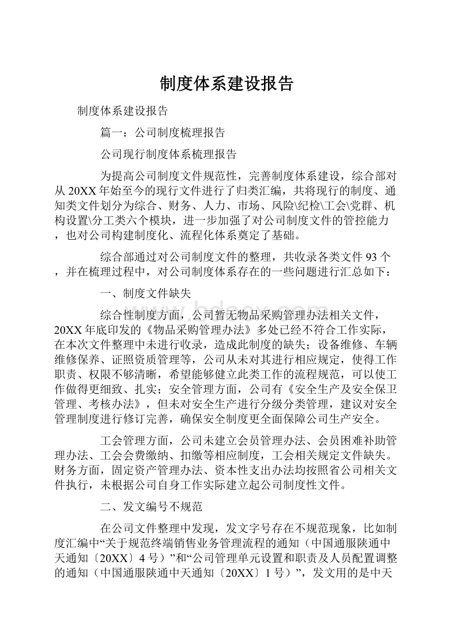 制度体系建设报告.docx