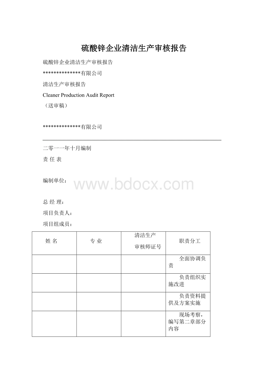 硫酸锌企业清洁生产审核报告.docx