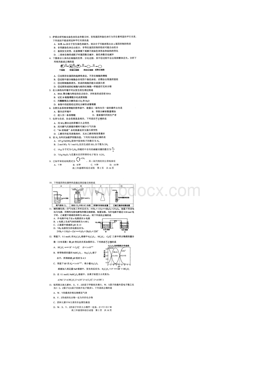 届湖北省武昌区高三元月调研考试理科综合试题 扫描版.docx_第2页