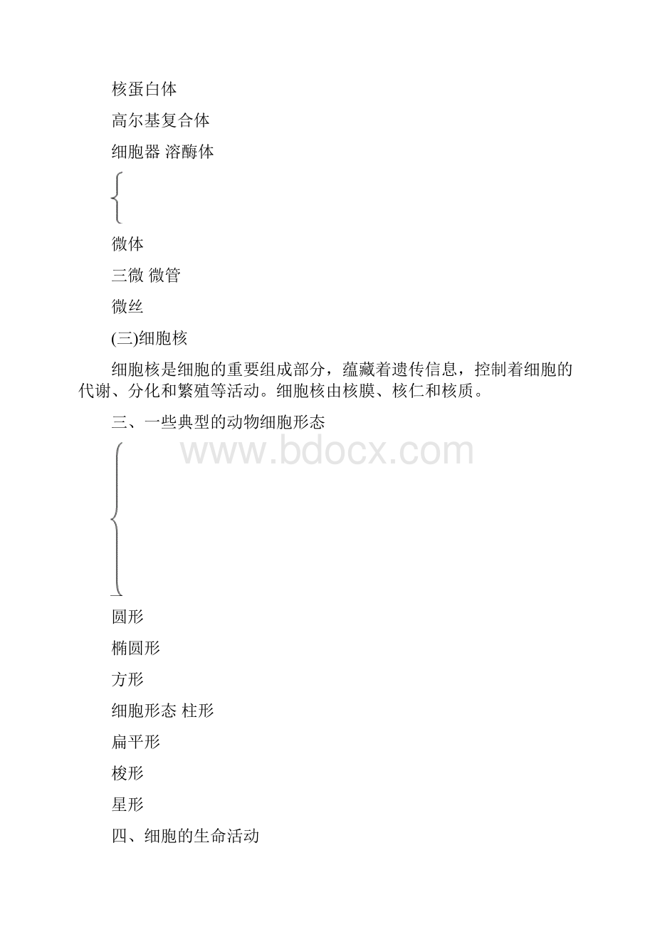 畜禽解剖生理电子教案.docx_第3页