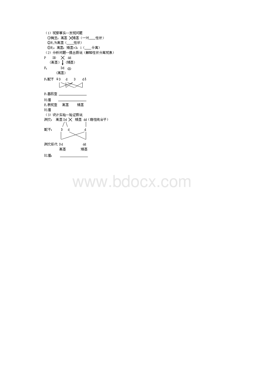 人教版高中生物必修二所有章节习题及知识点.docx_第2页