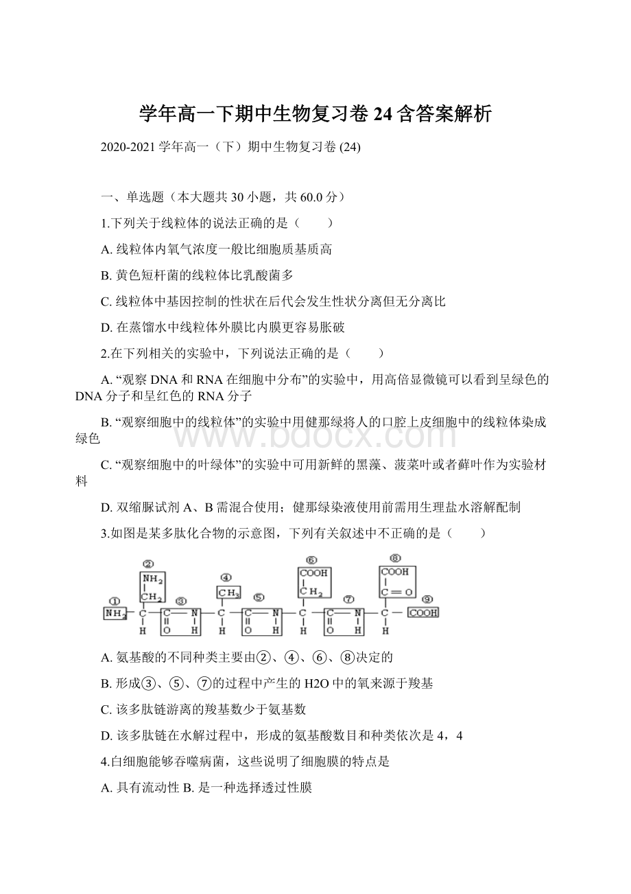 学年高一下期中生物复习卷 24含答案解析.docx_第1页