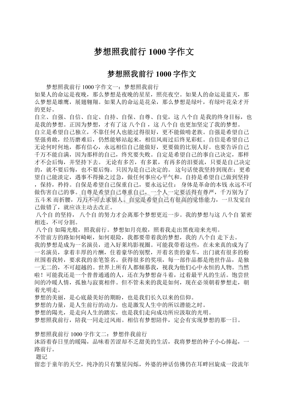 梦想照我前行1000字作文.docx