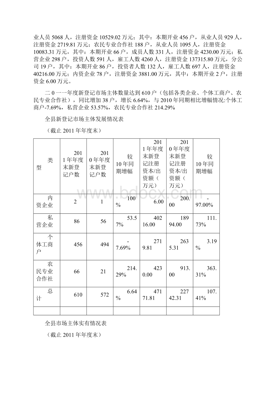 市场主体分析报告.docx_第3页