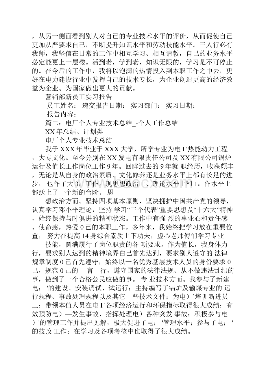 电厂专业技术工作总结.docx_第3页