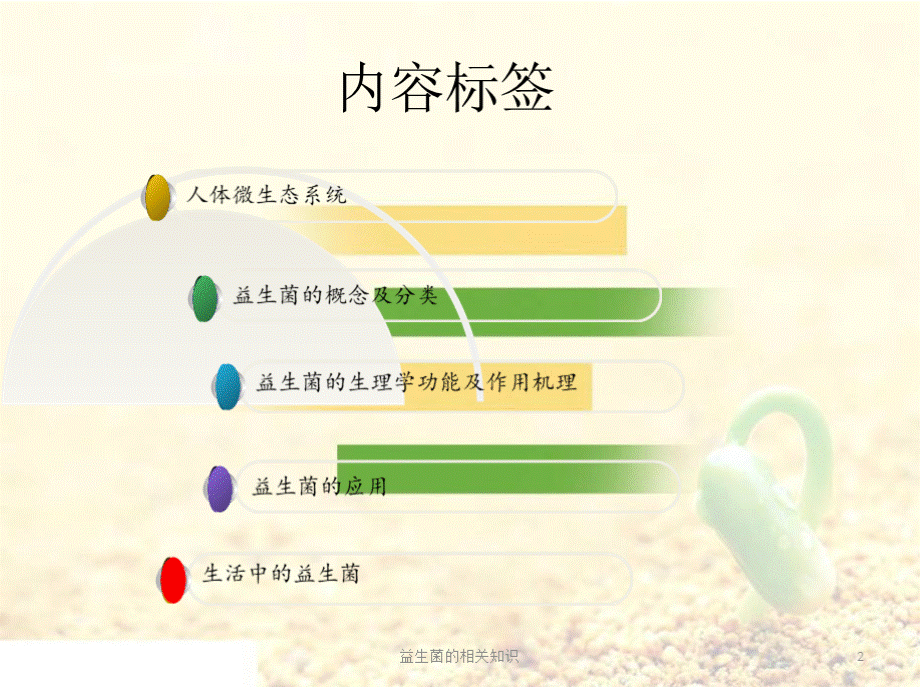 益生菌的相关知识培训课件.pptx_第2页