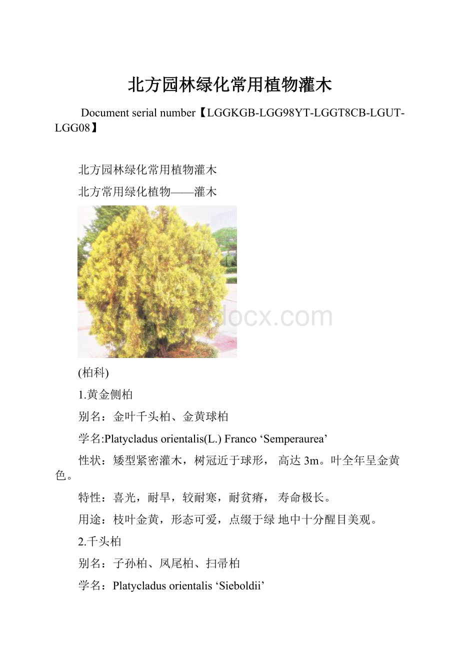 北方园林绿化常用植物灌木.docx_第1页