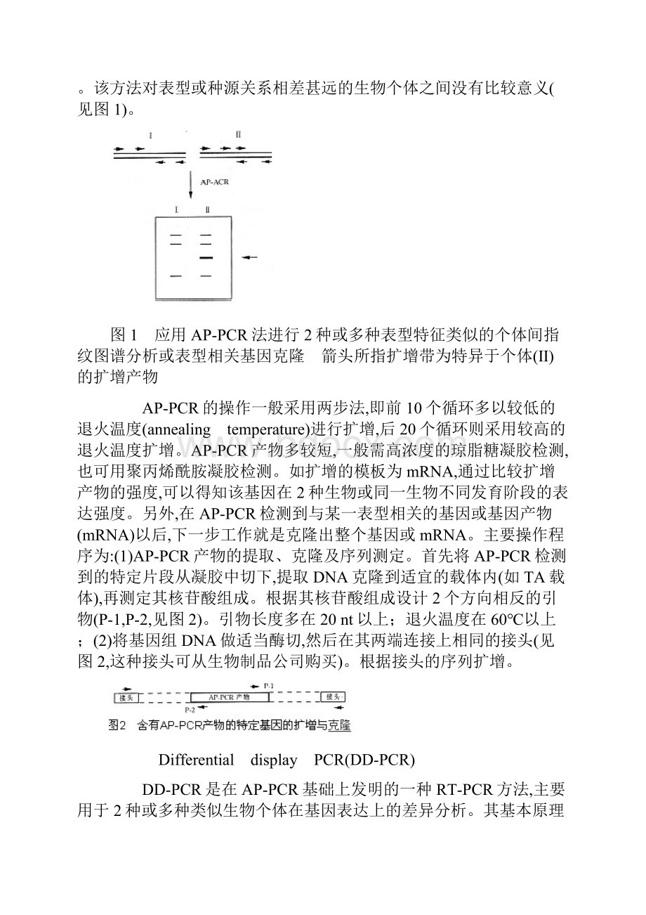 5基因克隆的几种常用方法.docx_第3页