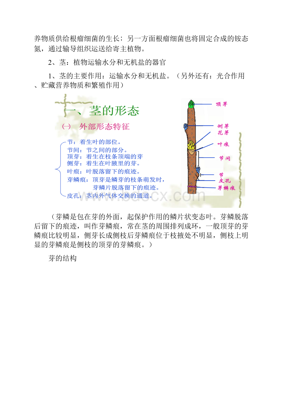 生物小实验植物部分归纳.docx_第3页