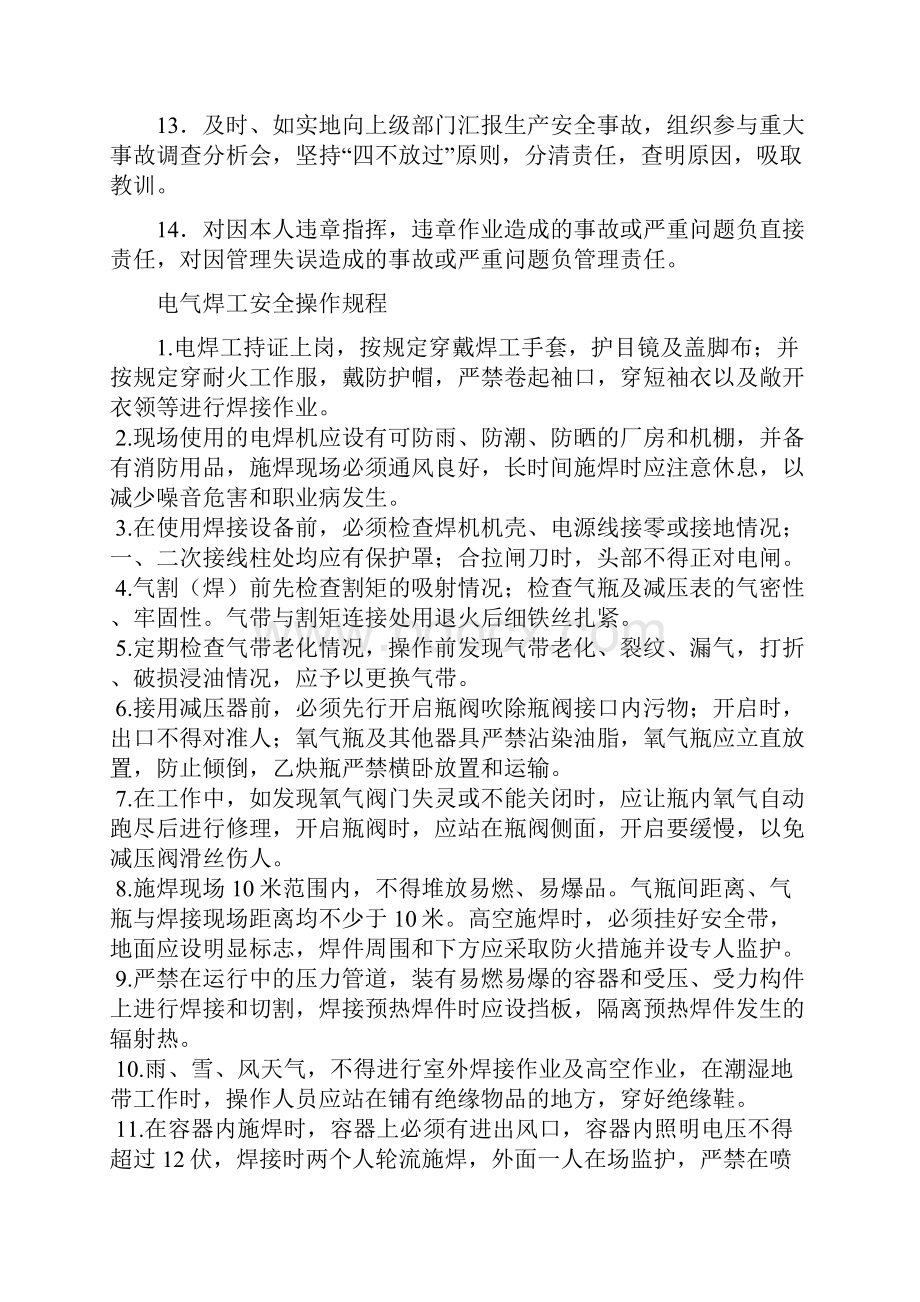 安全生产厂长安全生产责任制.docx_第2页