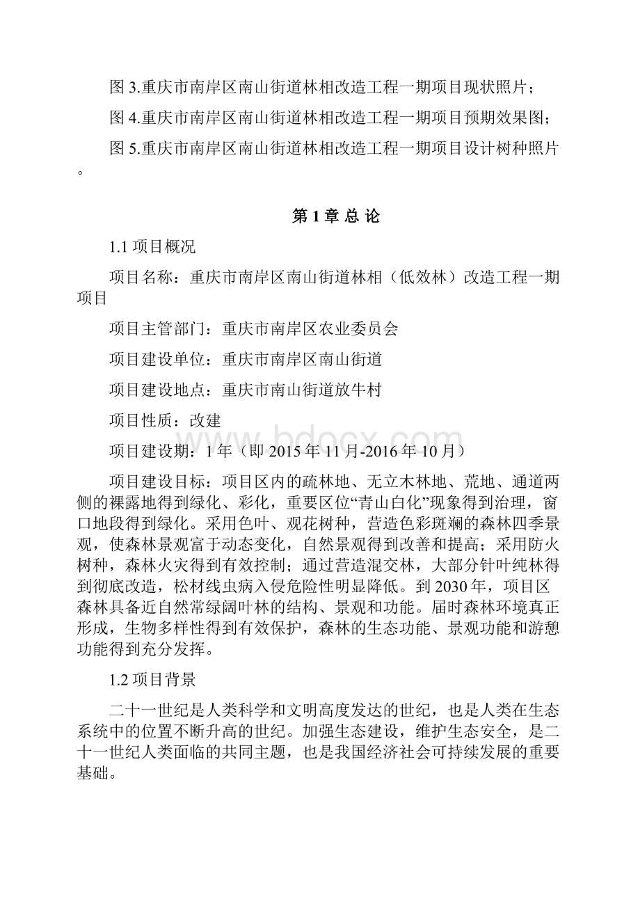 南岸区南山街道林相改造一期建设实施方案.docx_第3页