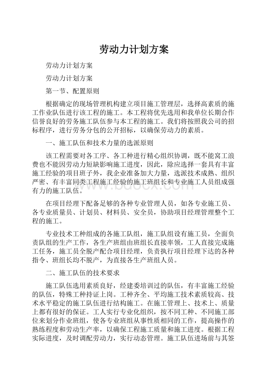 劳动力计划方案.docx_第1页