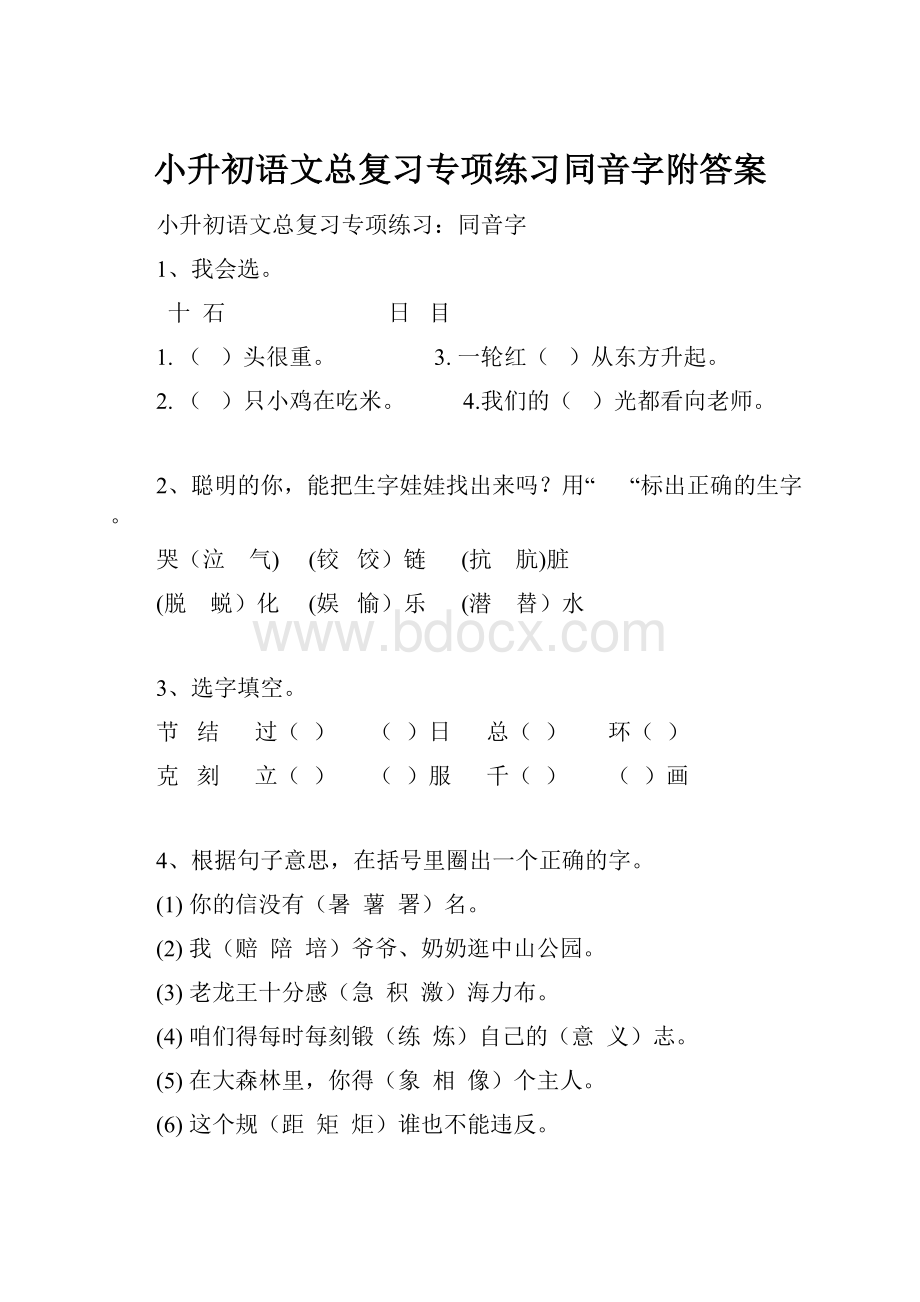 小升初语文总复习专项练习同音字附答案.docx