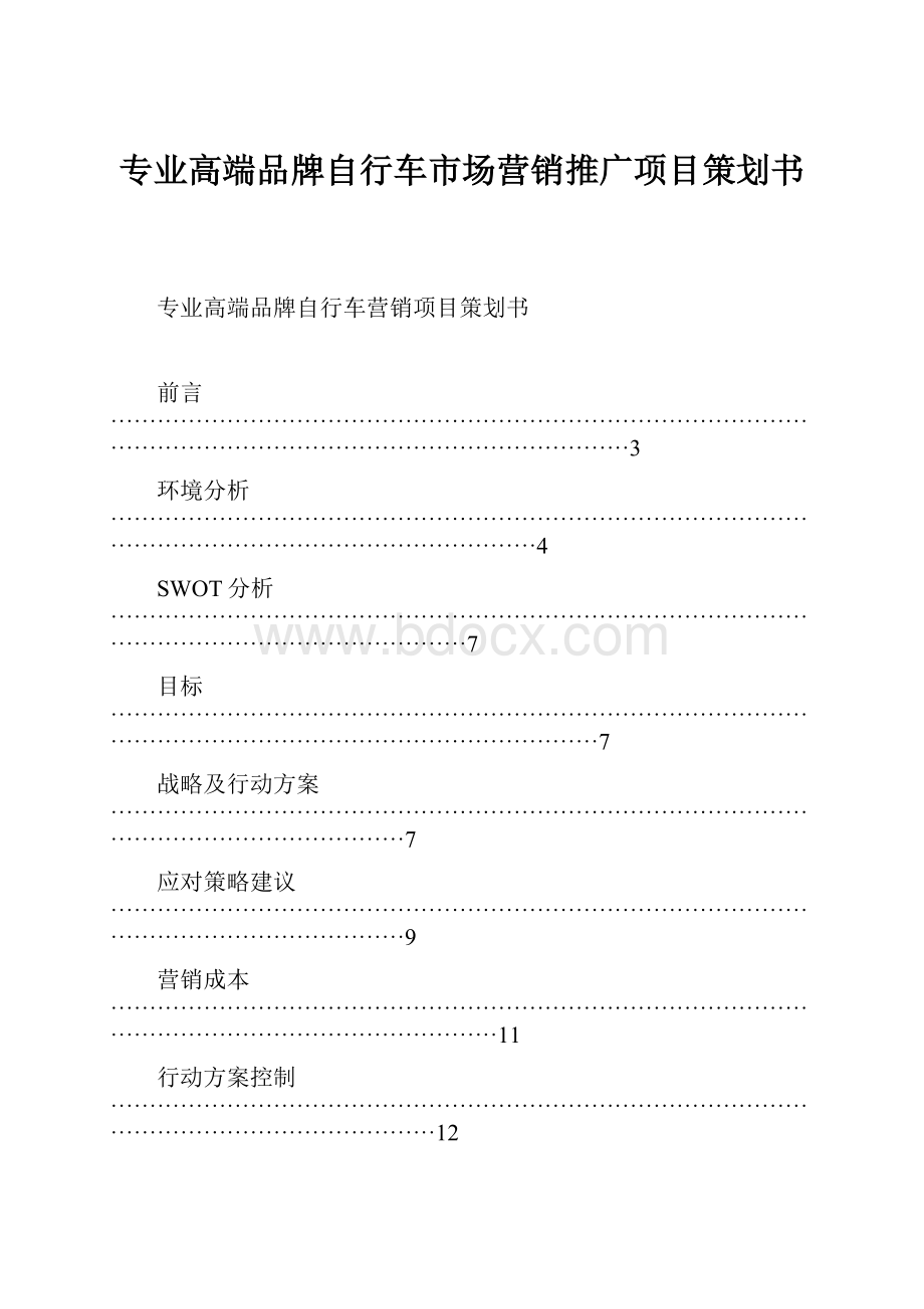 专业高端品牌自行车市场营销推广项目策划书.docx_第1页