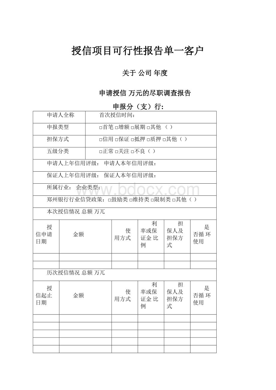 授信项目可行性报告单一客户.docx_第1页