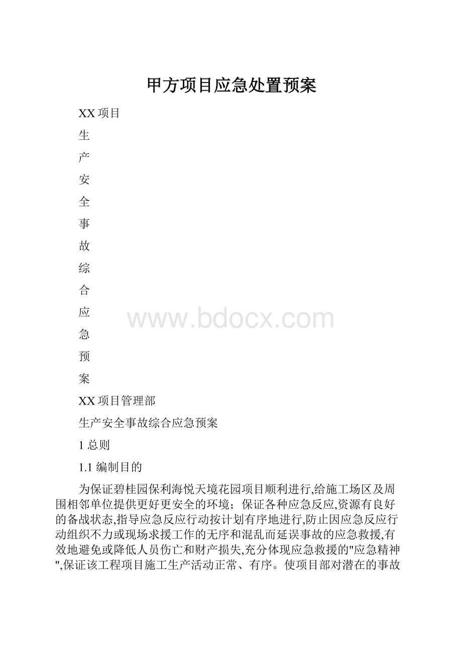 甲方项目应急处置预案.docx