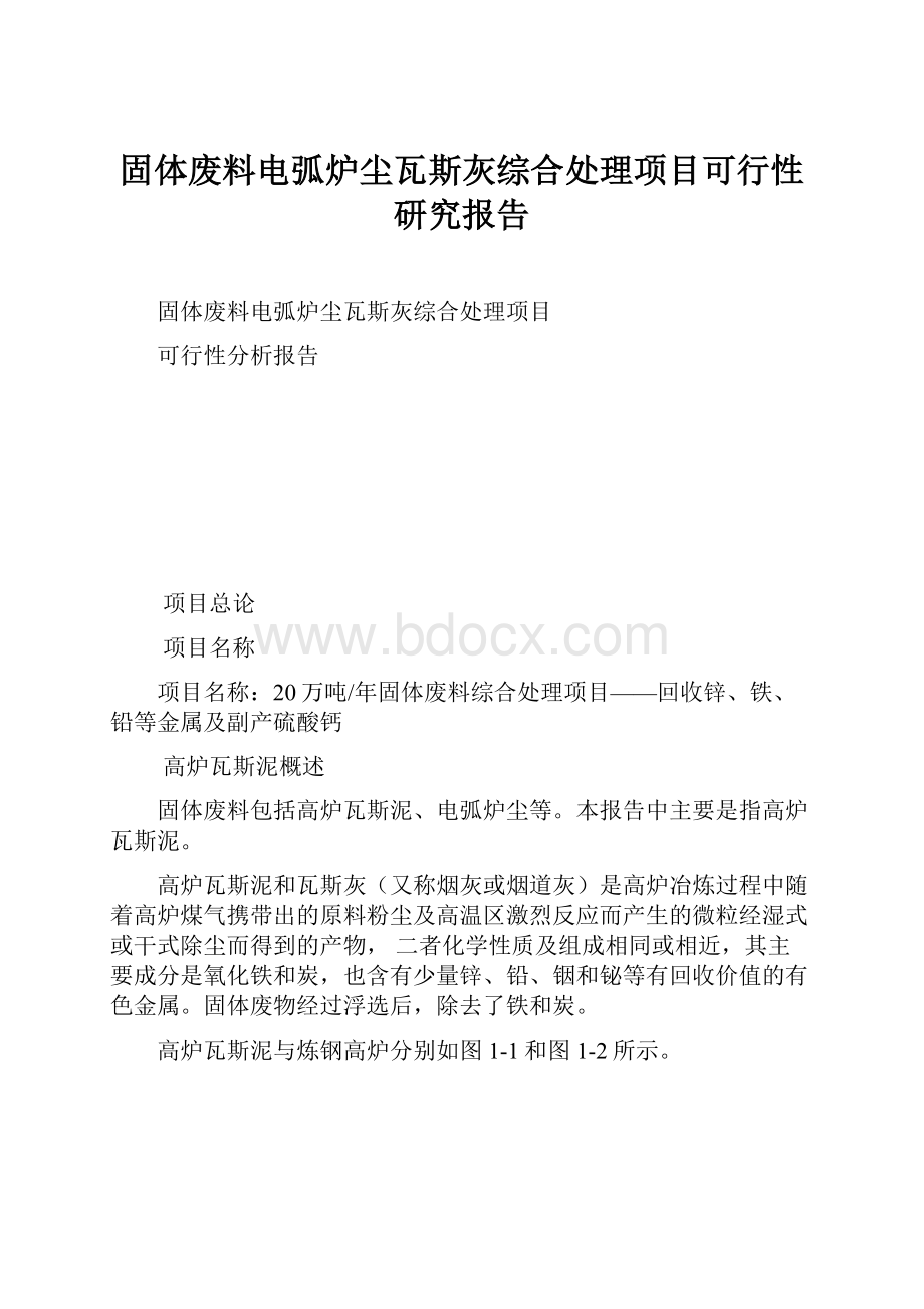 固体废料电弧炉尘瓦斯灰综合处理项目可行性研究报告.docx_第1页