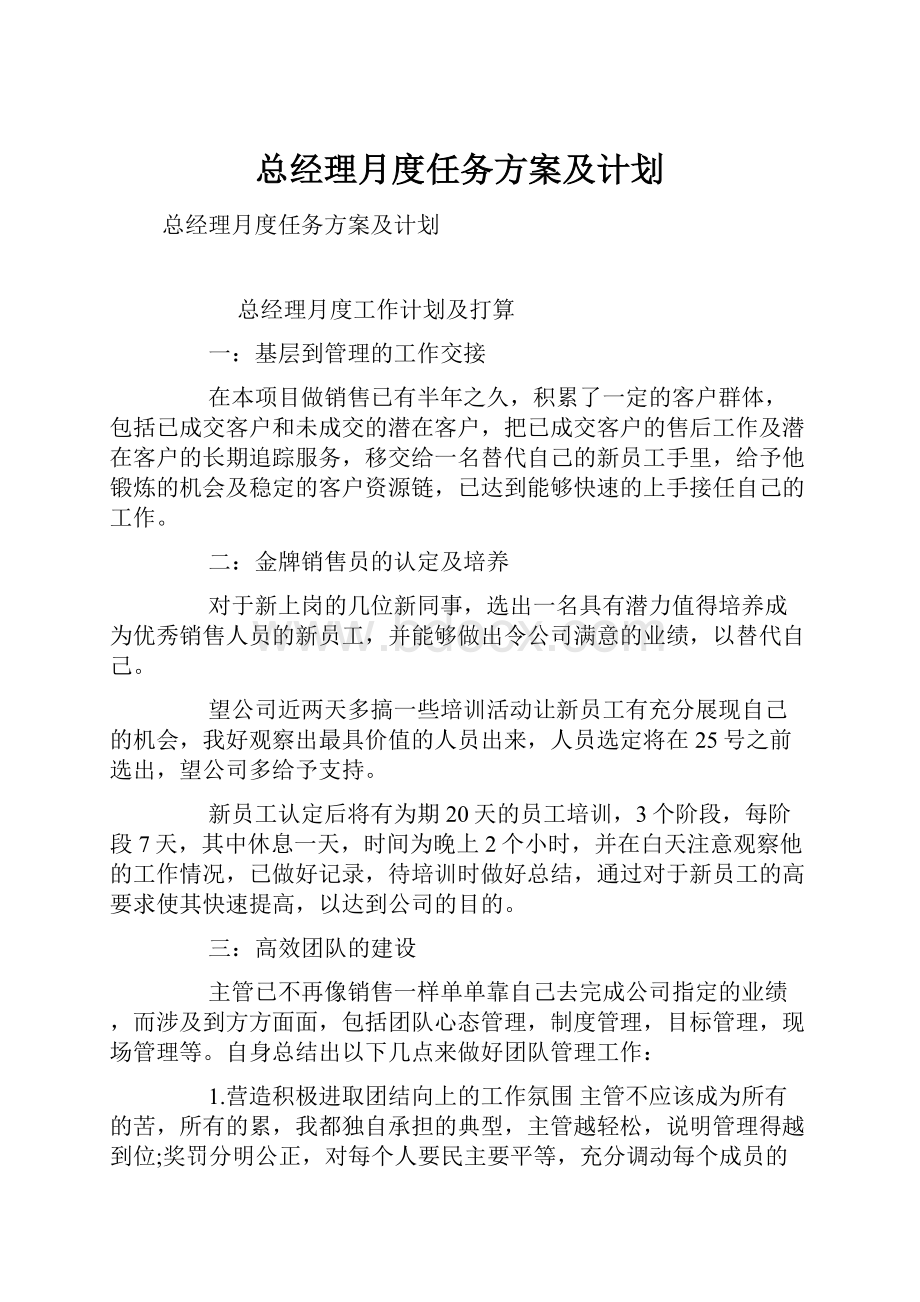 总经理月度任务方案及计划.docx_第1页