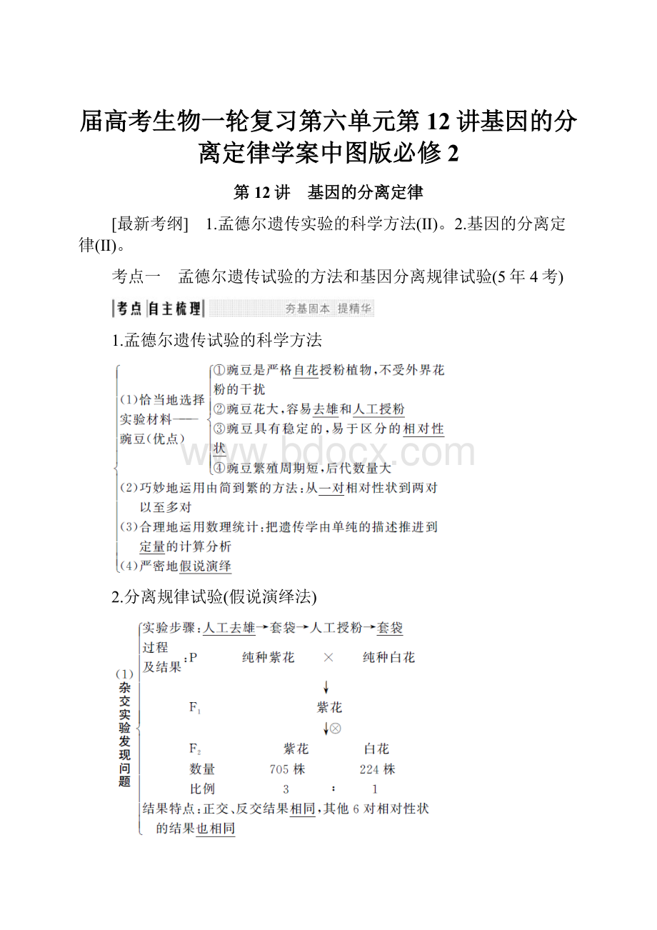 届高考生物一轮复习第六单元第12讲基因的分离定律学案中图版必修2.docx