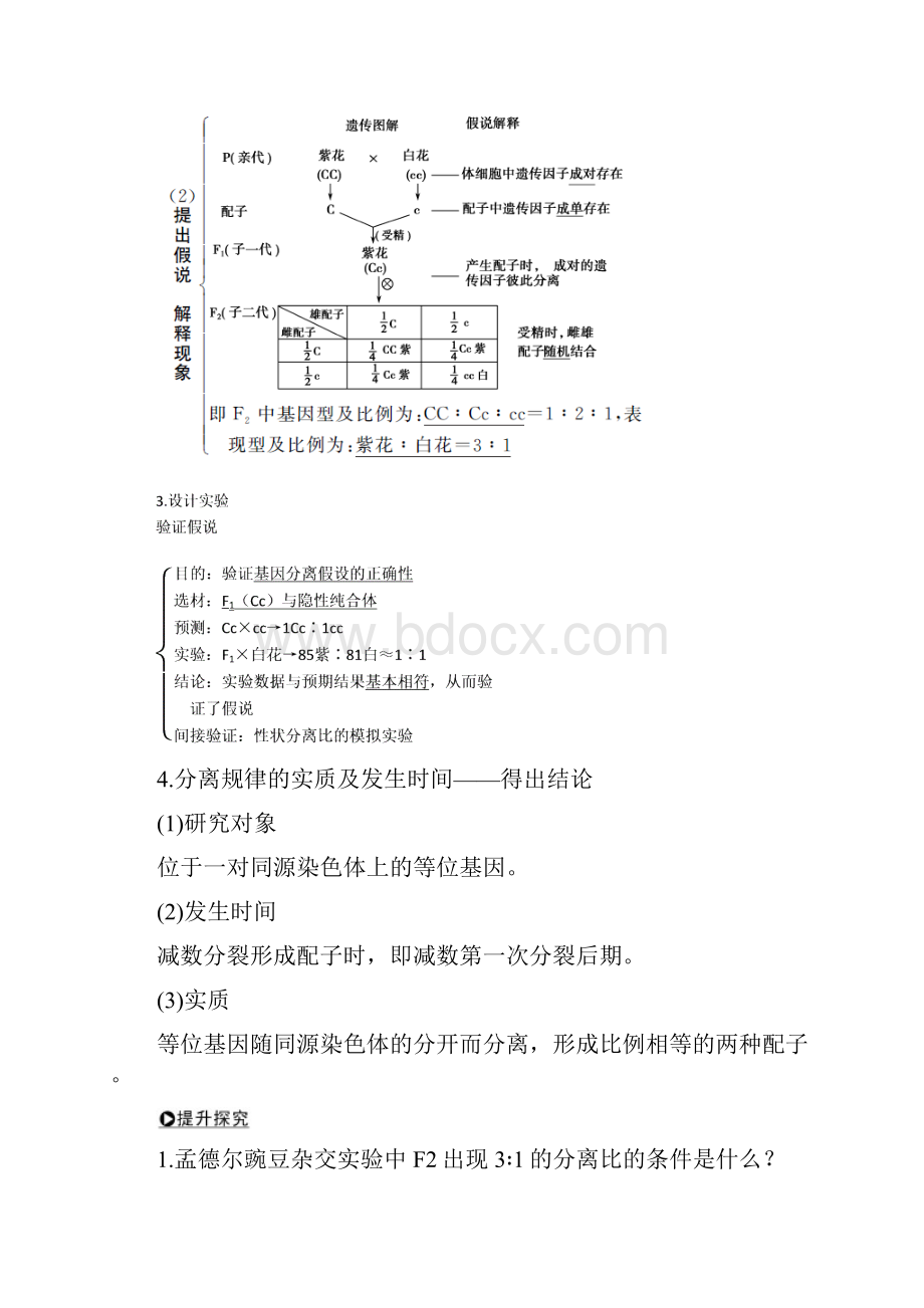 届高考生物一轮复习第六单元第12讲基因的分离定律学案中图版必修2.docx_第2页