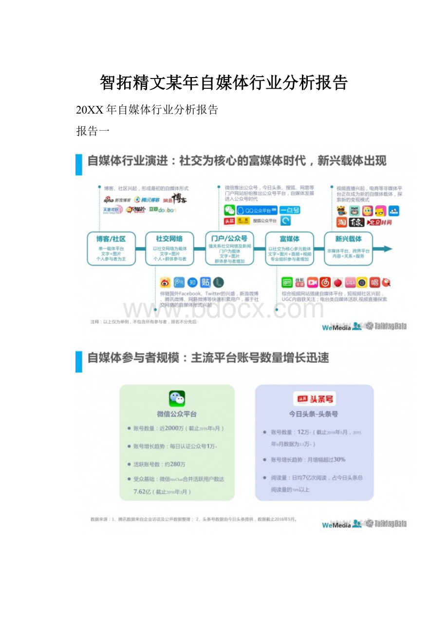 智拓精文某年自媒体行业分析报告.docx_第1页