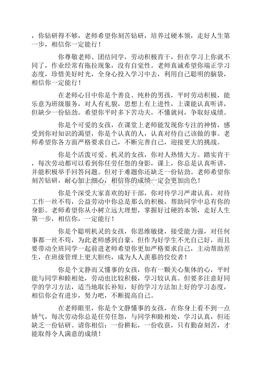 班主任工作范文之四年级评语集锦.docx_第2页