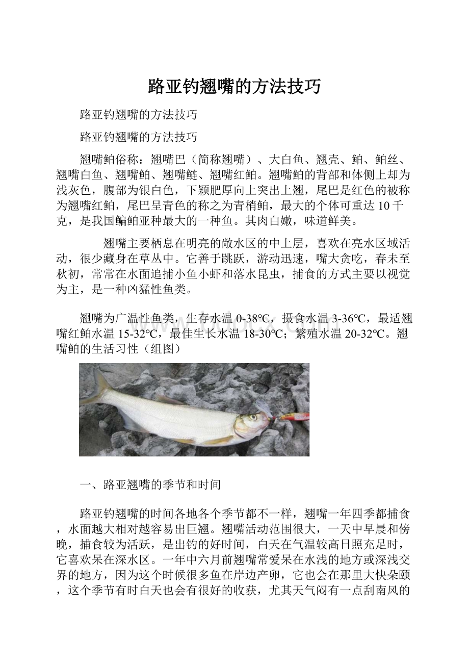 路亚钓翘嘴的方法技巧.docx