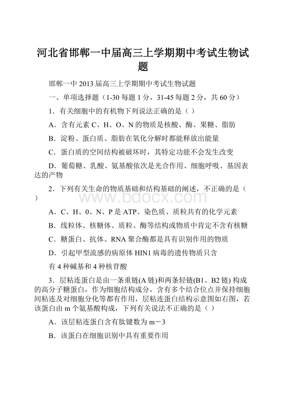 河北省邯郸一中届高三上学期期中考试生物试题.docx