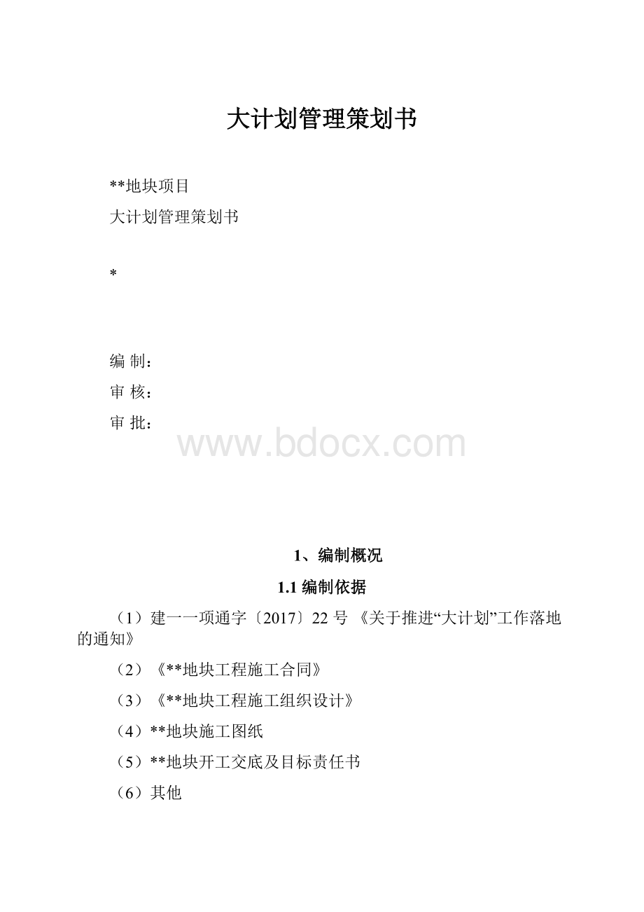 大计划管理策划书.docx